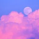 lavender04022