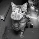 martin9086#6537's avatar