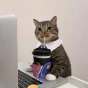 mysticustv