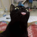 hevifps
