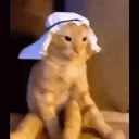 sxj_ow