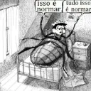 lucao3822