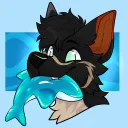 jaxtheshep