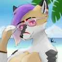 vixenthevulpine