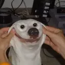 swagswadge