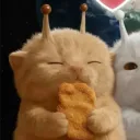 rodricarr