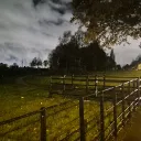cynierarchived