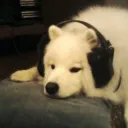 swordly