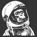 bitdeep