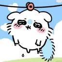 cachebunni
