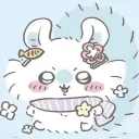 cachebunni