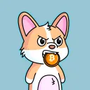 corgi.vet