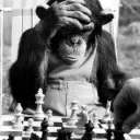 _checkmate_