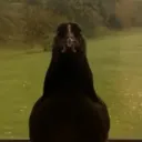 lordsiuuuuuuuuuuuuuuuuuum