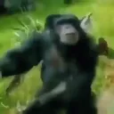 badp0tat0