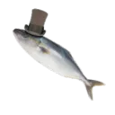 fish_o