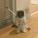 avatar 🔱Kaiko165🔱