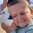 fabbelit0