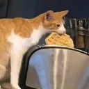 impassw