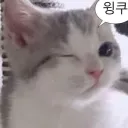 v_0v0_o