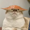bdev9