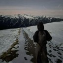 avatar тєηєвяιѕ