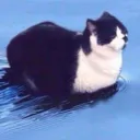 stinkyboy77