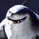 sharkoloco