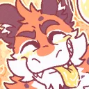 oingo