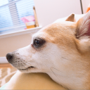 chamsae__#5126's avatar