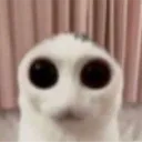 darryllord64
