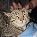 Jerppu