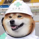 xndr209