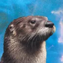 spaceottersplash