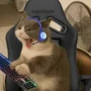 themurdockkk