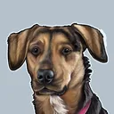 digdog19855