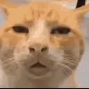 ineeddasauce
