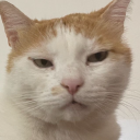 mangaluli#7306's avatar