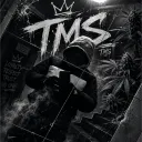 tms1337_