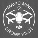 DJI Mini 2 — Discord staff member