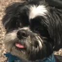hi_imawkward