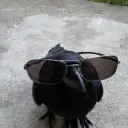 roogimm