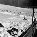 avatar Jeffreedom baby