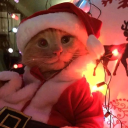 avatar mgr inż. Kowni