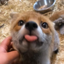 avatar 💘mgr inż. Kowni💘