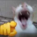 modofire