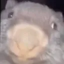 dstroyrl