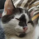 .nyrth