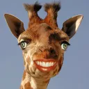 hifwiend avatar