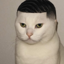 avatar 🆂🅺🆄🆁🆃